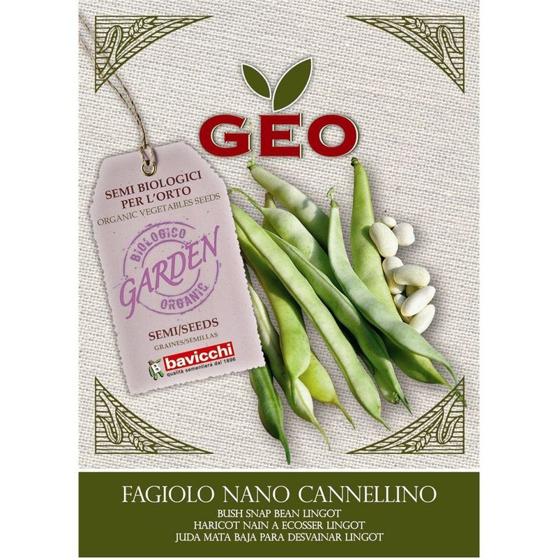 Fasola Cannellino nano, eko nasiona do wysiewu, 25g, Bavicchi