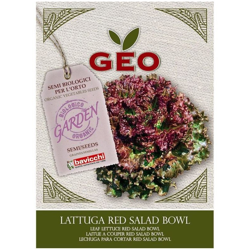 Sałata liściowa Red Salad Bowl, eko nasiona do wysiewu, 4,5g, Bavicchi