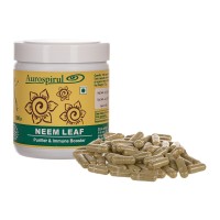 Neem 500 kapsułek, 175g, Aurospirul