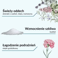 DUŻY, ziołowy płyn do płukania jamy ustnej,  bogaty w ziołowe ekstrakty (szałwia, mięta, rozmaryn, goździki) 500 ml, SYLVECO