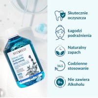 DUŻY, ziołowy płyn do płukania jamy ustnej,  bogaty w ziołowe ekstrakty (szałwia, mięta, rozmaryn, goździki) 500 ml, SYLVECO